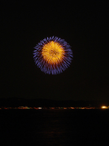 firework03