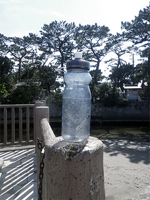 IMGP0505-02