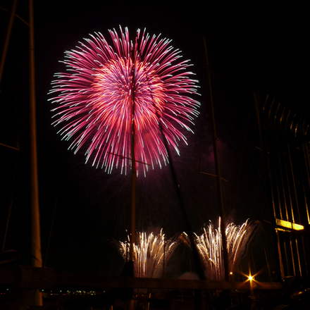 firework02