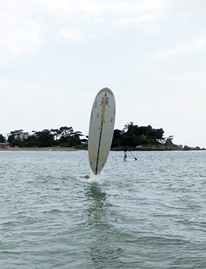 RIMG3535−02
