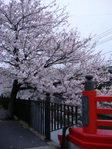 nakachobashi