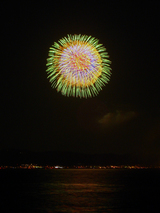 firework12