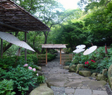 ぼたん庭園
