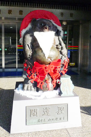 tanuki
