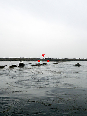 IMGP0174-02