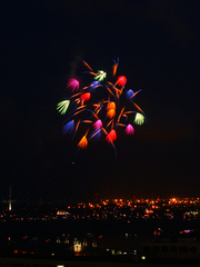firework02