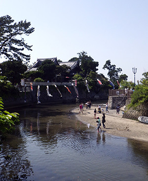 RIMG3355-02