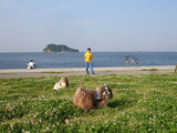 うみかぜ公園