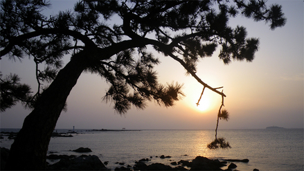 jinja-beach