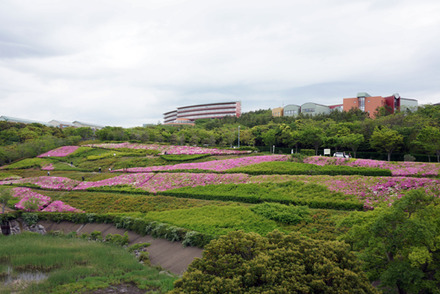 kokusaimura01