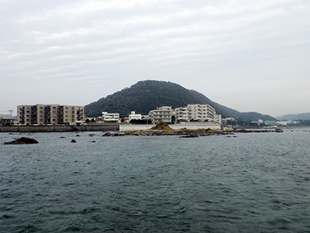 IMGP0031