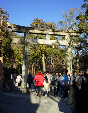 DSC04345-02
