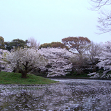 genpei