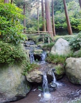 小滝
