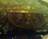 bb3915a2.jpg