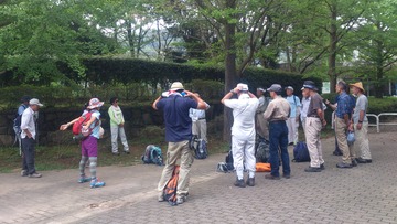 9集合