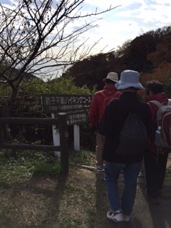 ⑭