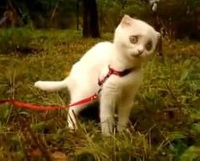 a1321ddb3ab3b26a1a8045f7d1f6730f_400