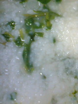 ���𤬤�
