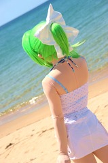 003