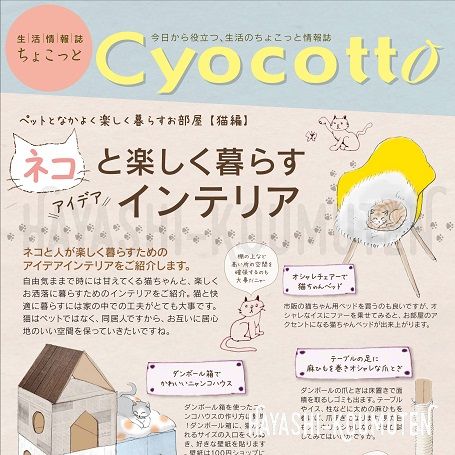 201804ネコと楽しく暮らすアイデアインテリア