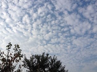 IMG_8894a
