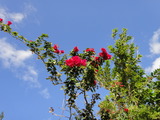 2010-12-04 006