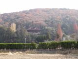 2011-12-15 019