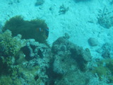 2011-12-05 033