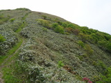 2012-05-24 017