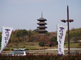 2011-12-15 010
