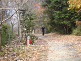 2011-12-15 004