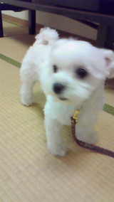 cb87c842.jpg