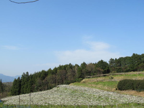 n07