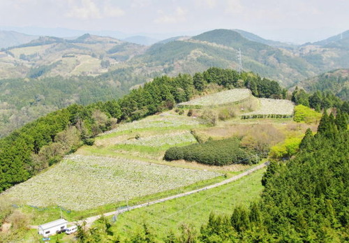 r01