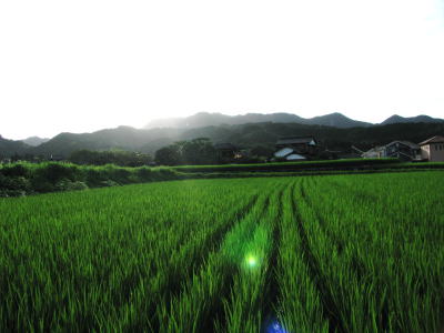 i04