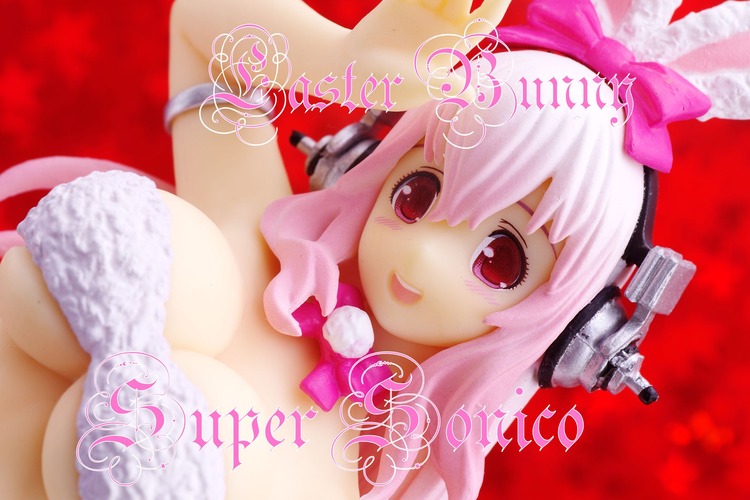 IMGP1566
