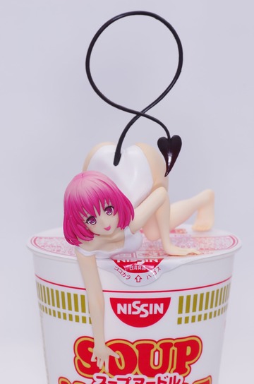 IMGP6493