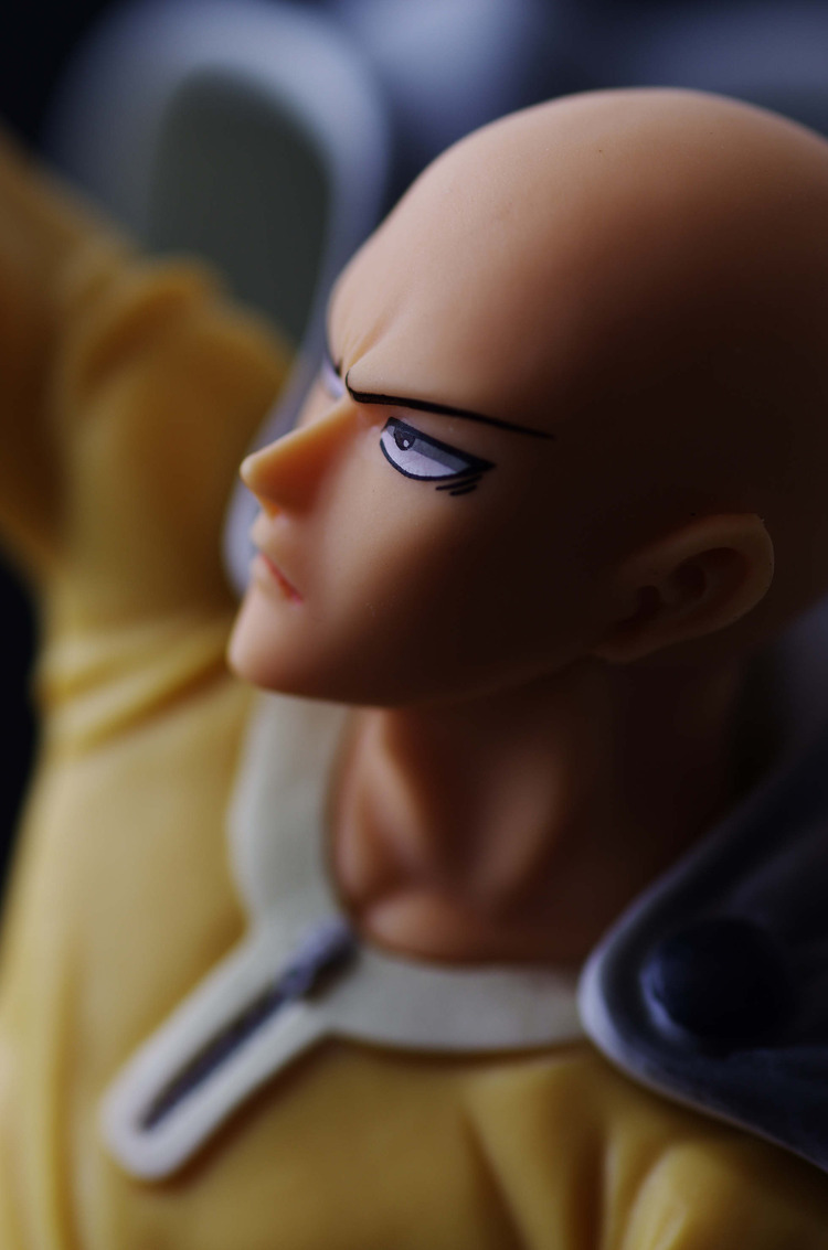 IMGP5361