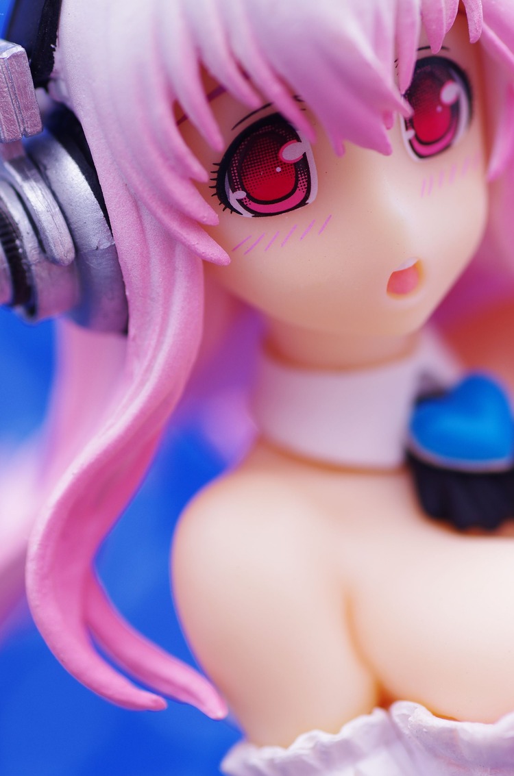 IMGP8569