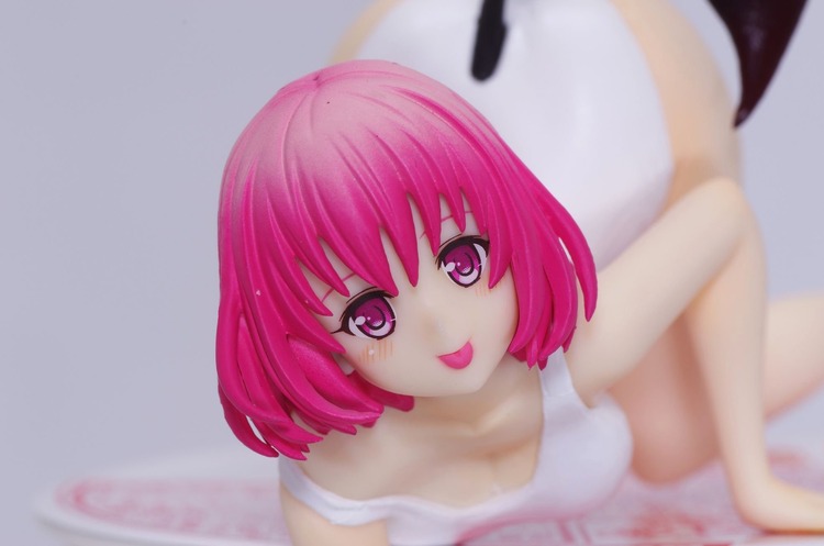 IMGP6501