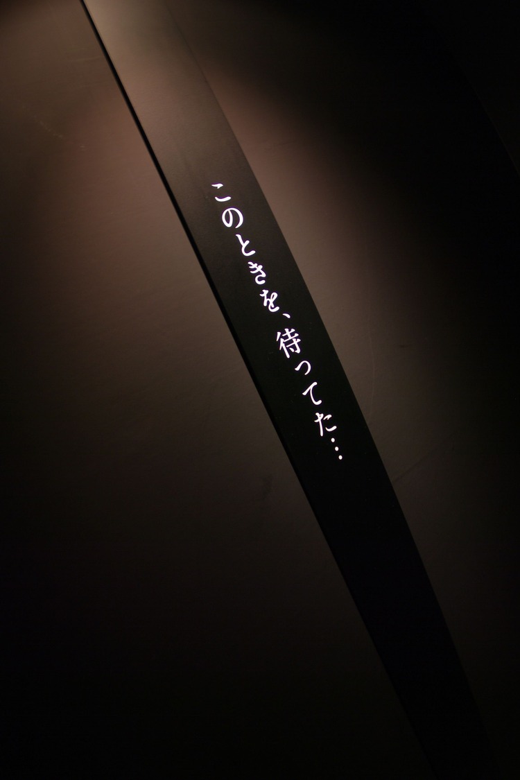 IMGP0190