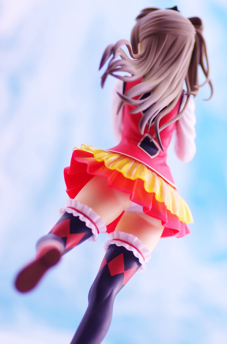 IMGP2582
