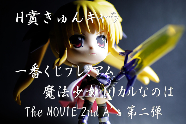 IMGP3565
