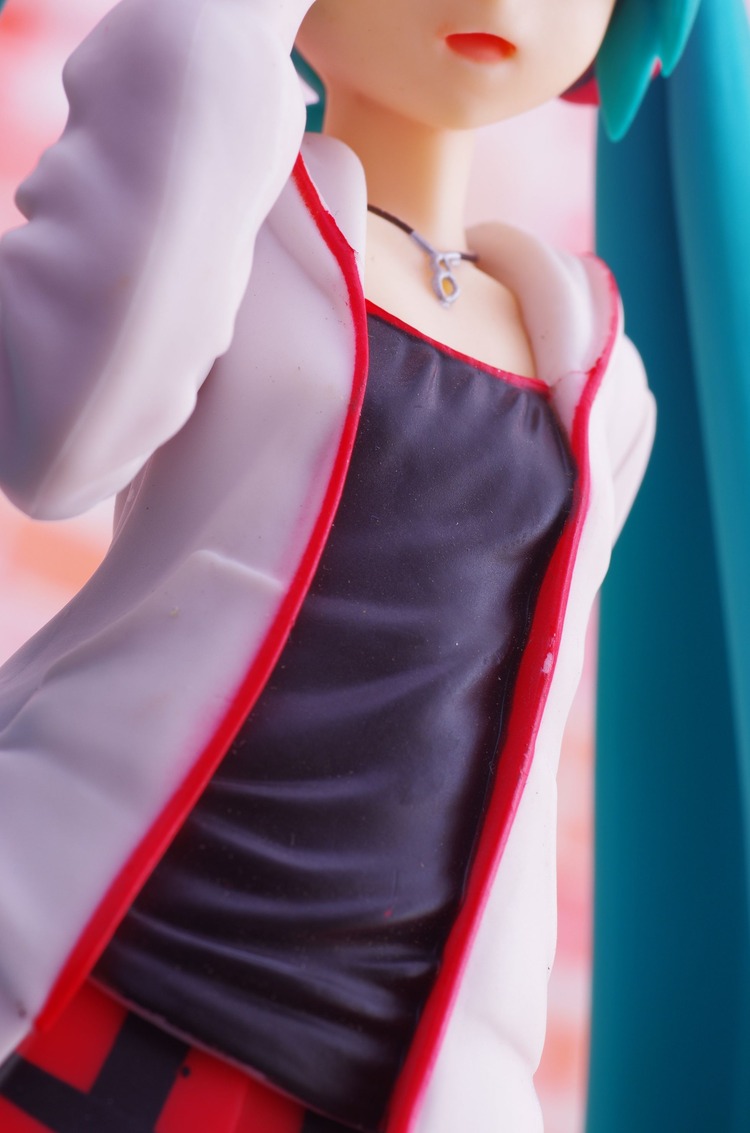 IMGP7748