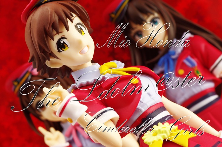 IMGP3588