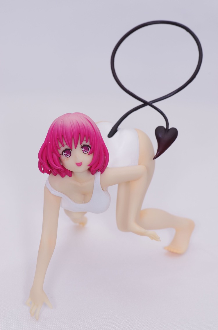 IMGP6520