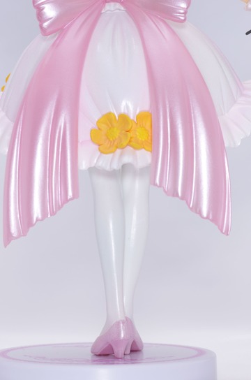 IMGP6784