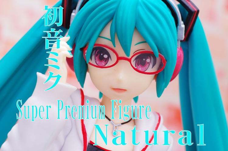 IMGP7003
