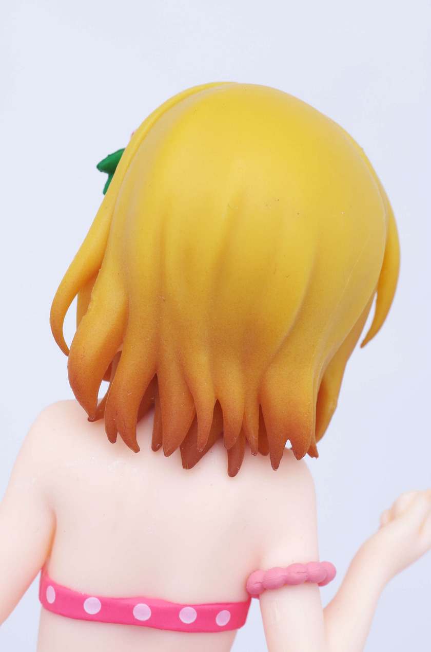 IMGP6293
